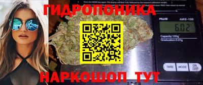 гашик Старая Купавна