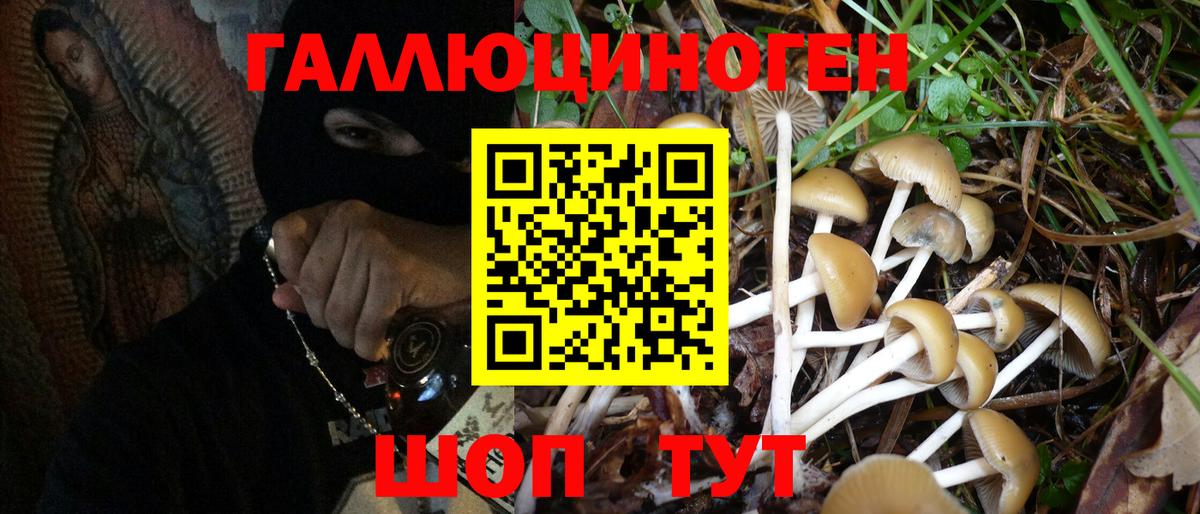 Псилоцибиновые грибы GOLDEN TEACHER Омск